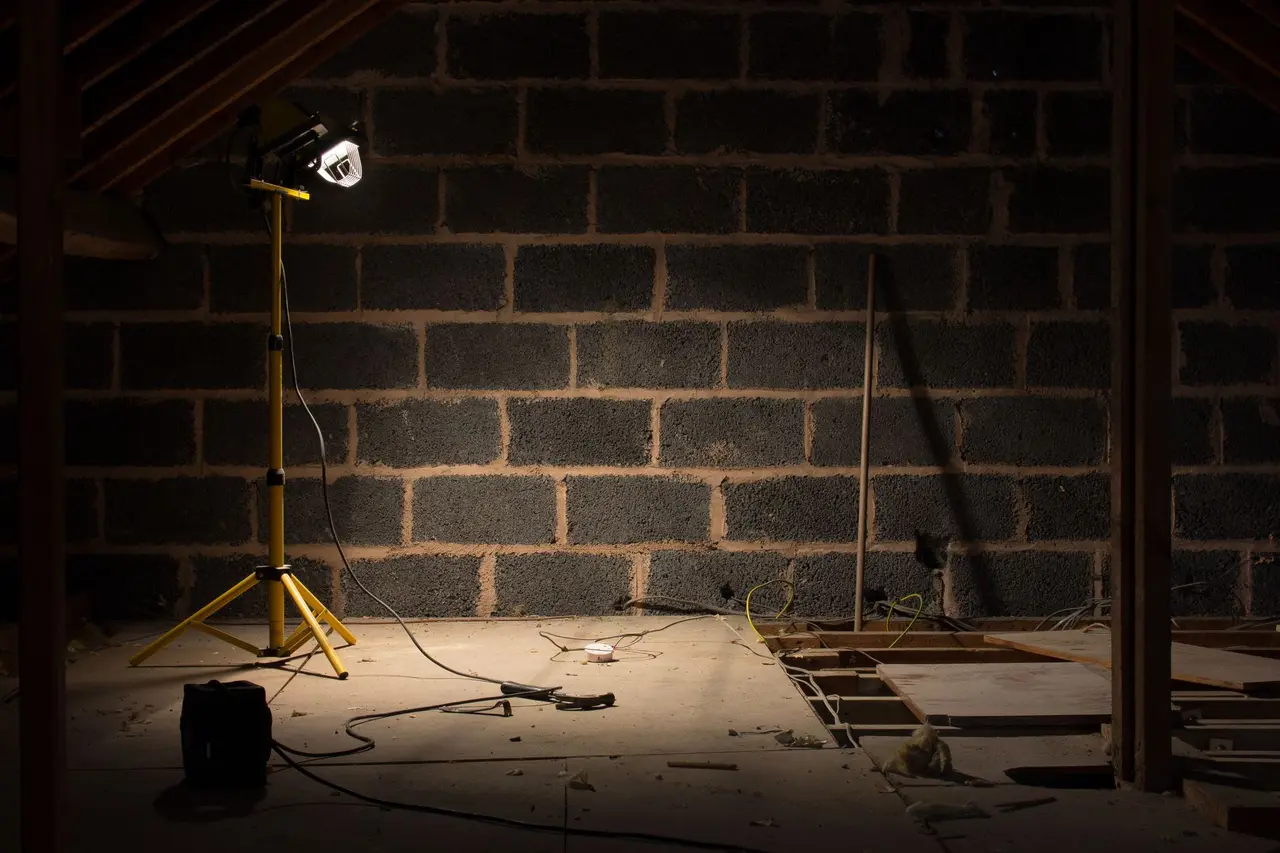 Attic Mold Removal