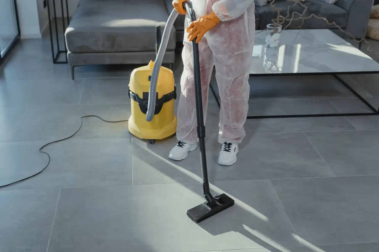 Basement Mold Removal