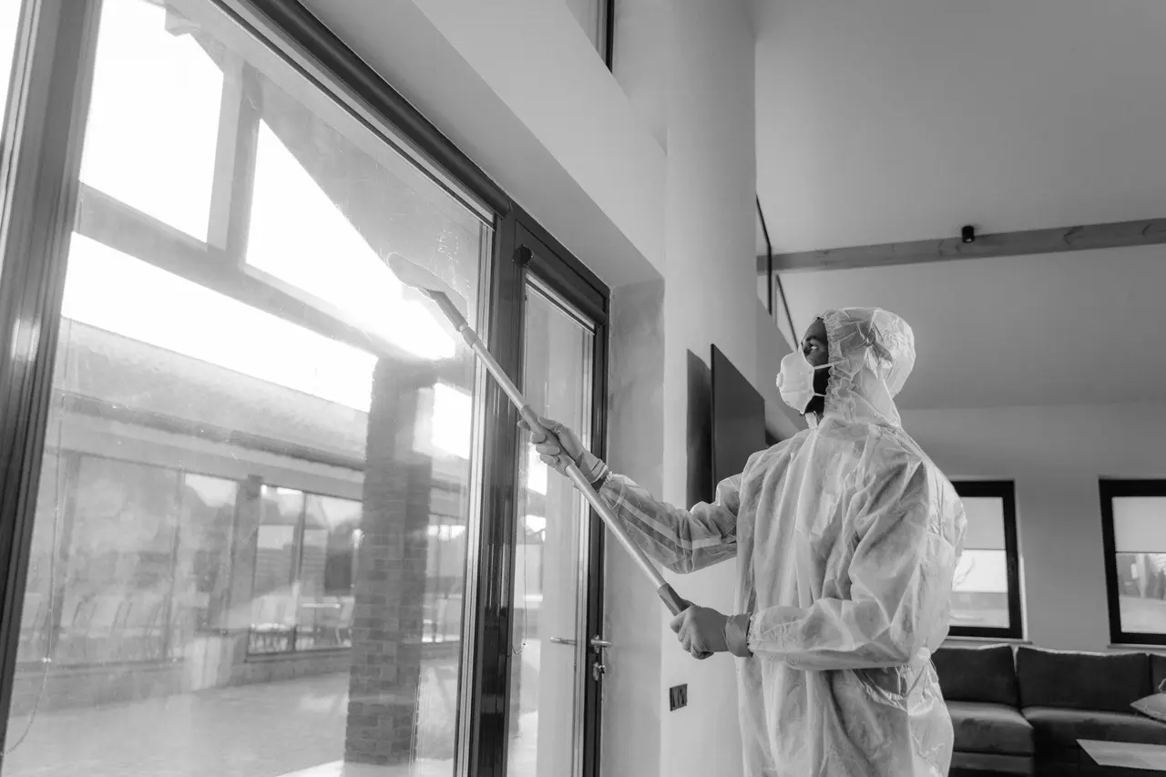 Black Mold Removal
