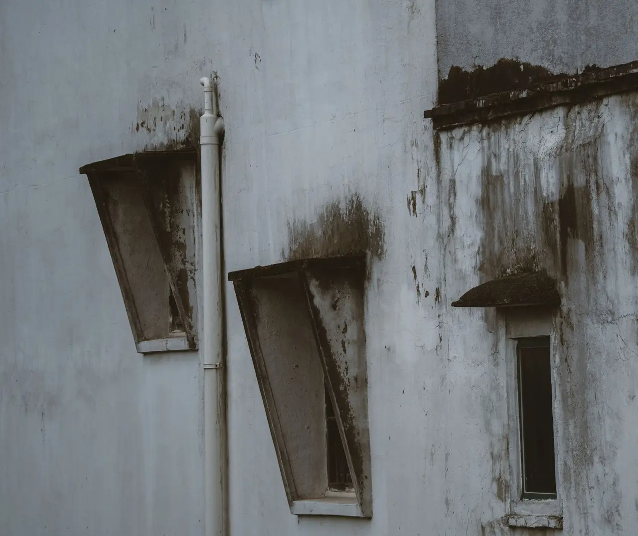 Mold and Mildew Treatment