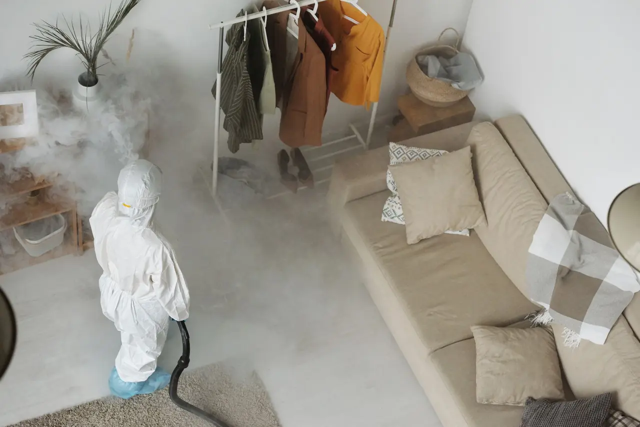Mold Prevention Services
