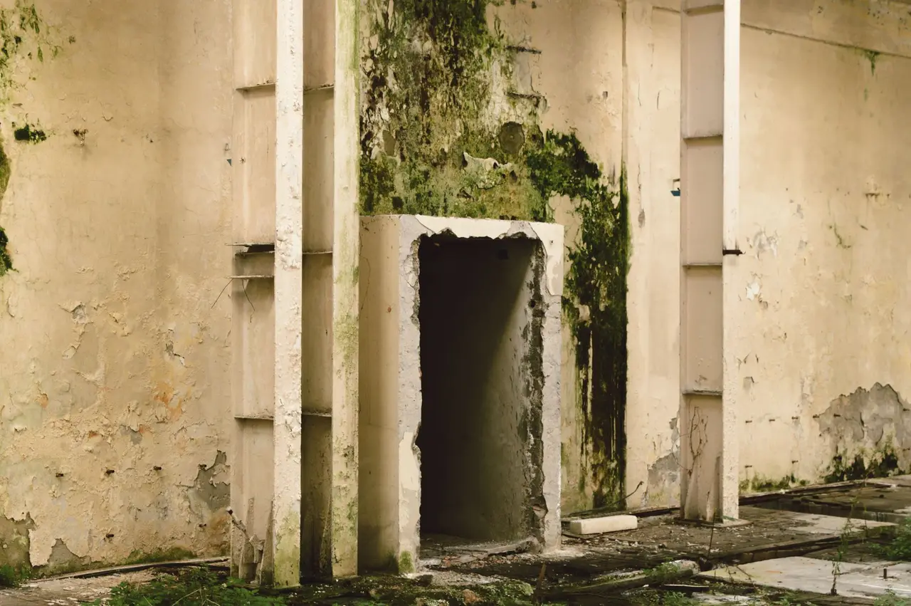 Mold Remediation