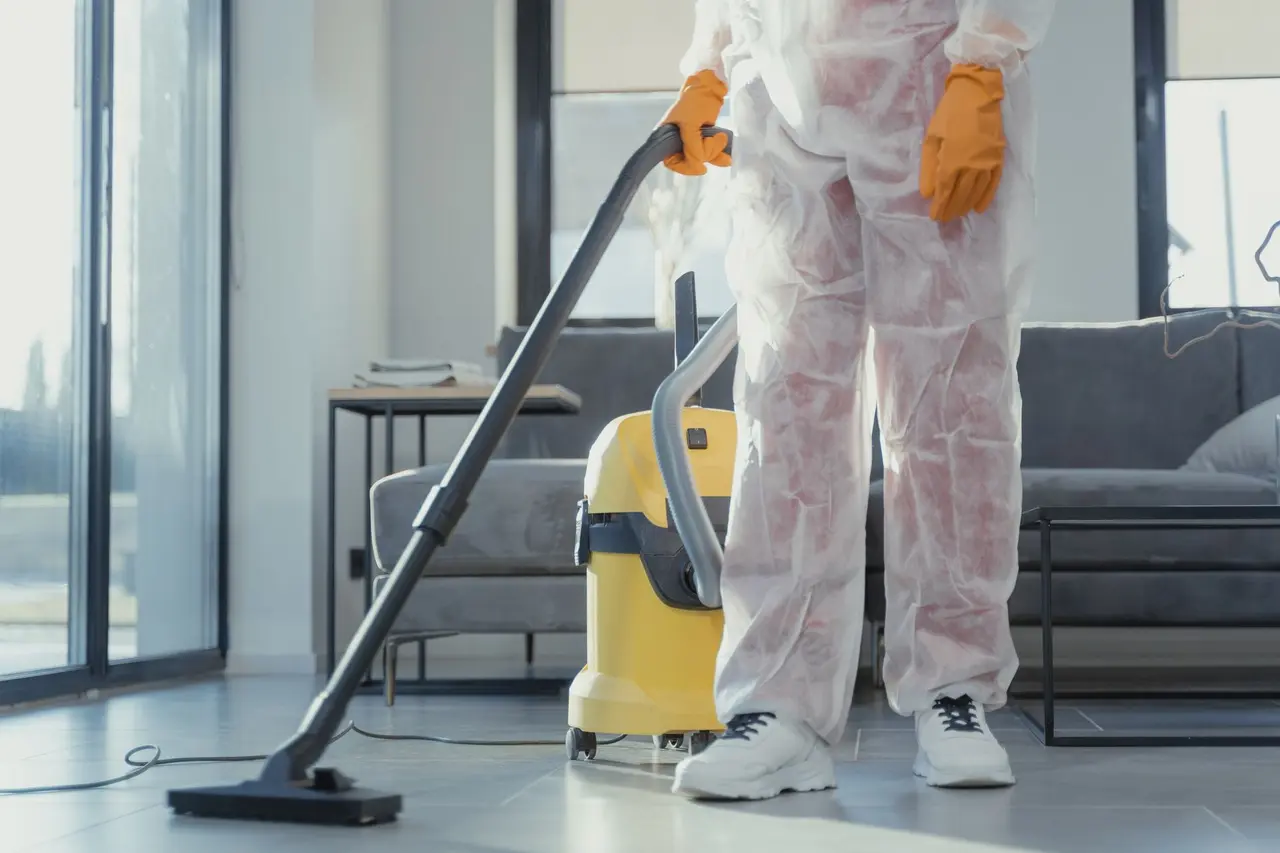 Mold Removal