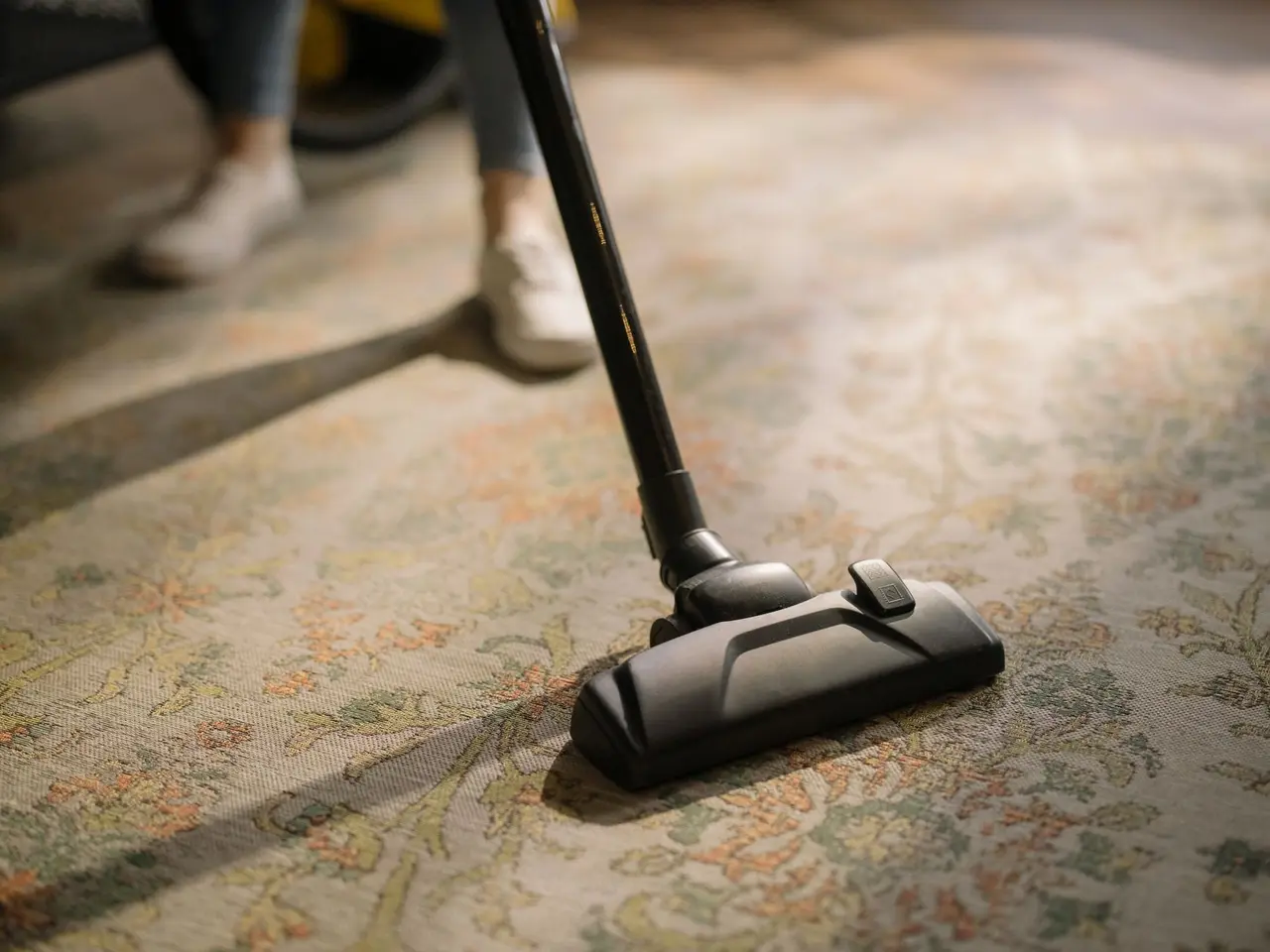 Moldy Carpet Cleaning