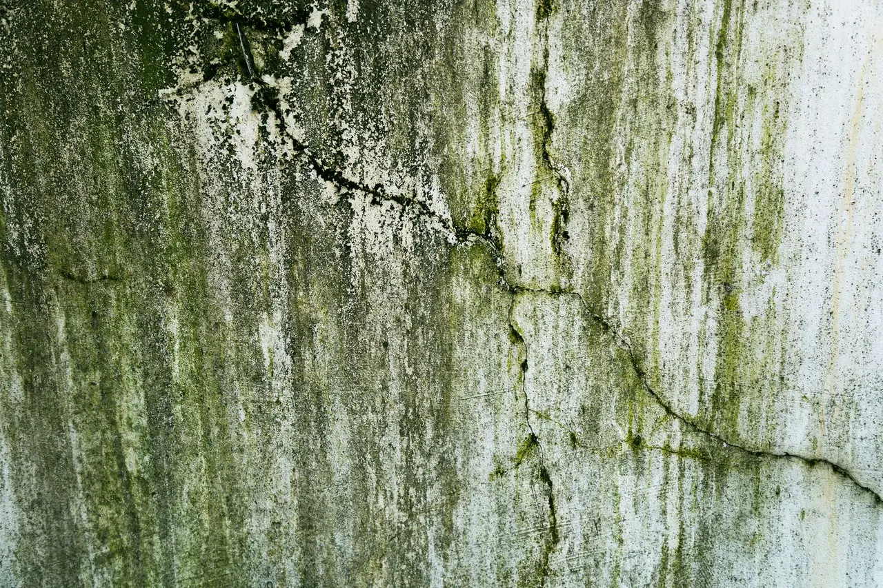 Post-Remediation Verification
