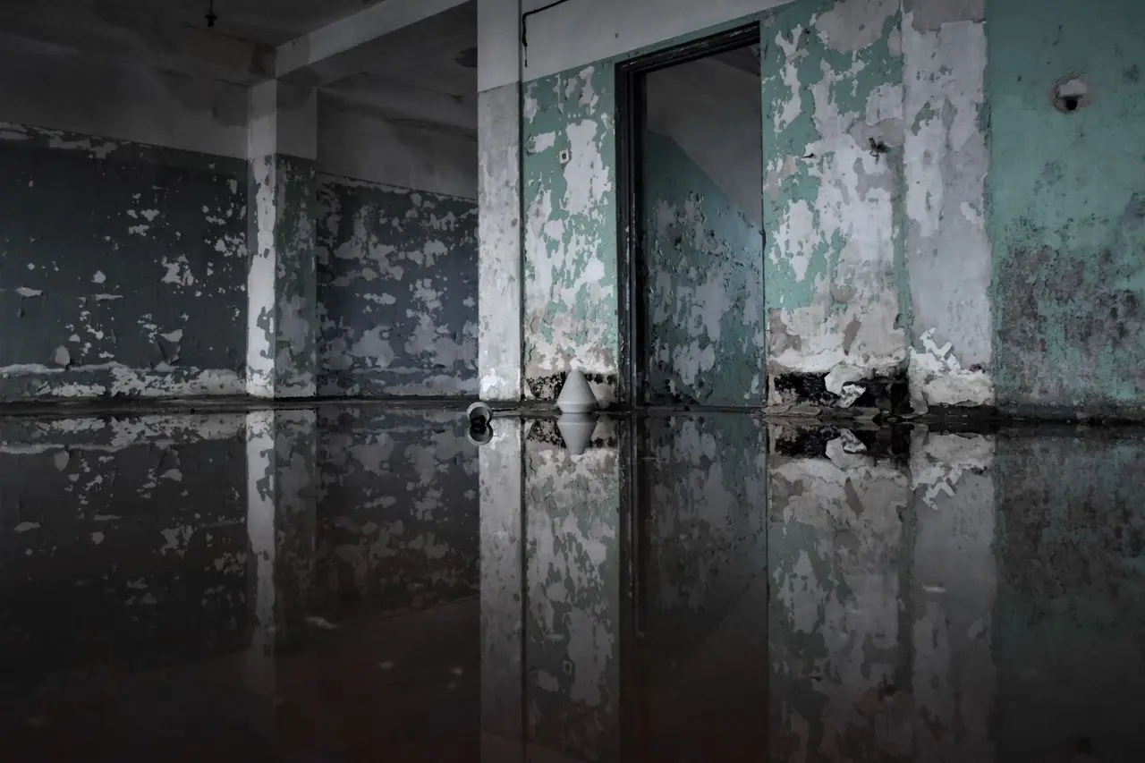 Water Damage Restoration